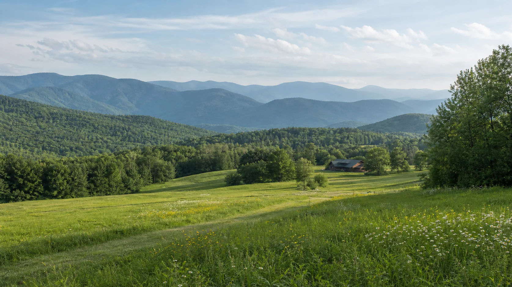 Mountain landscape in summer